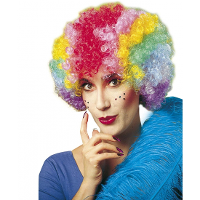 Carnaval pruik Clown   Gekleurde clownspruik voor volwassenen