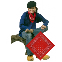 Carnaval verkleed boeren zakdoek   rood   55 x 55 cm   themafeest   boerenlente feest