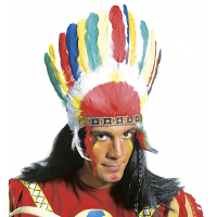 Carnaval verkleed Indianen tooi met gekleurde veren   heren   Indiaan