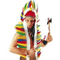 Carnaval verkleed Indianentooi met veren   160 cm   volwassenen   multi kleuren