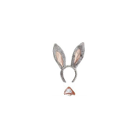 Ezel verkleed set   2 delig   diadeem en snuit   dieren verkleed accessoires