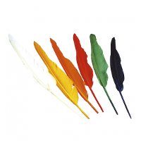 Indianen veren   12x stuks   gekleurd   25 30 cm   indianenveren   hobby