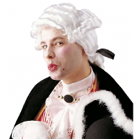 Middeleeuwse verkleed pruik   wit   heren   barok   Carnaval   accessoires