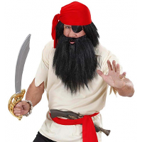 Piraten carnaval/verkleed baard met snor   zwart   voor volwassenen