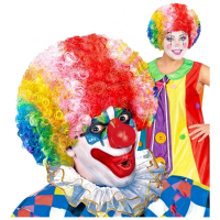 Pruik Clown   Gekleurd   clownspruik voor volwassenen   Carnaval