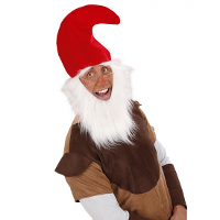 Rode Kaboutermuts   met baard en wenkbrauwen   Dwergen   verkleed accessoires
