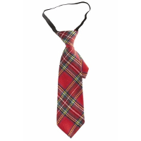 Verkleed stropdas   rood   geruit   30 cm   polyester   volwassenen