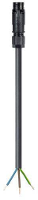 Wieland Electric 46.432.1034.1 Ronde connector Stekker, recht Totaal aantal polen: 2 + PE Serie (ronde connectoren): RST® MINI 1 stuk(s)