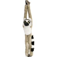 Hangende Ringstaartmaki, 51 Cm