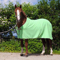 Winterdeken Rugbe Iceprotect #95;_Winterdeken Rugbe Iceprotect Bruin | 165 215cm