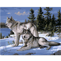 Wolf Diy Oil Painting By Numbers Digital Oil Painting Kits Frameless Canvas Home Wall Decor Gift 40x50cm