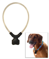 Wolters Halsband Voor Hond Lichtgevend Nightshift Blauw #95;_Small 30 40 Cm