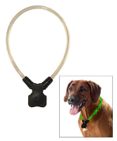 Wolters Halsband Voor Hond Lichtgevend Nightshift Groen #95;_Large 50 60 Cm