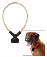 Wolters Halsband Voor Hond Lichtgevend Nightshift Rood #95;_Large 50 60 Cm