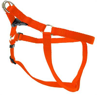 Wolters Tuig Voor Hond Basic One Touch Oranje #95;_75 100 Cm