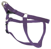 Wolters Tuig Voor Hond Basic One Touch Violet #95;_75 100 Cm