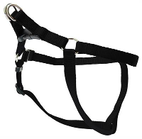 Wolters Tuig Voor Hond Basic One Touch Zwart #95;_75 100 Cm