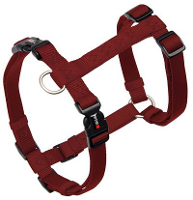 Wolters Tuig Voor Hond Professional Rood #95;_25 Mmx55 80 Cm