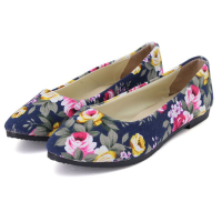 Women Ballet Shoes Ladies Rose Casual Flat Canvas Pointed Toe Shoes Multi Color Loafers