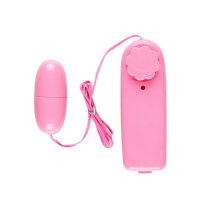 Women Bullet Remote Control Clitoral G Spot Stimulator Vibrating Egg