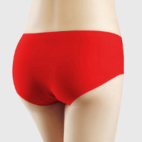 Women's Silk One Piece Invisiable Seamless Panties