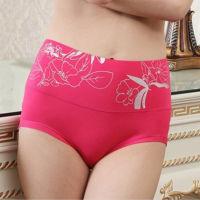Women Sexy Seamless Waist Body Sculpting Underwear Abdomen Hip Panties