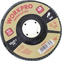 WorkPro WP407555 Lamellenschuurschijf Diameter 125 mm Boordiameter 22.2 Mm 10 stuk(s)