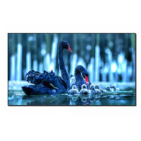 WUPRO BSP Vaste Beeldscherm Projector 93/100/110/120/130 Inch 160° Kijkhoek 3D 4K/8K UHD 93% ALR 0.7 Versterkte Opbrengs