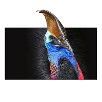 WUPRO CBSP Vaste Frame Projectiescherm 92/100/110/120 Inch 160° Kijkhoek 3D 4K/8K UHD 150:1 Contrast Dunne Randen Cinema