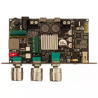 Wuzhi ZK 1001U Audio Bluetooth Versterker Bord Mono 100W TPA3116D2 met Treble Bass Control BT 5.3 Veelzijdige Audio inga