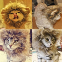Xs Pet Dog Cat Artificial Lion Mane Wig Halloween Costume