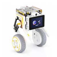 Yahboom Rider Pi AI Visuele Robot Tweewiel Voetige Slimme Auto met IMU module Python programmering ChatGPT steminteracti