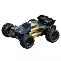 YHRC YH16003 Pro RTR 1/16 2.4G 4WD RC Auto Off Road Hoge Snelheid 70 km/u Volledige Proportionele Besturing Borstelloze