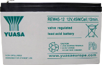 Yuasa REW 45   12 Loodaccu 12 V 8 Ah Loodvlies (AGM) (b x h x d) 151 x 97 x 64 mm Kabelschoen 6.35 Mm Geringe zelfontlading, Onderhoudsarm, Cyclusbestendig