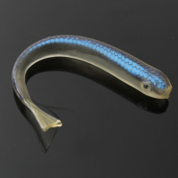 Zanlure 10cm Sinking Soft Silicone Fishing Lures Fishing Lure Bait