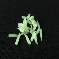 Zanlure 25 Pcs 16mm Soft Silicone Noctilucent Fishing Worms Grub With Taste