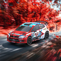 ZD Racing RX12 RTR 1/12 2.4G 4WD 80km/h 3S borstelloze drift rally RC auto gyroscoop metalen chassis gear oil gevuld sch