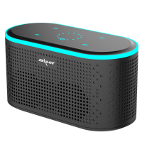 IJVERAAR Z2 Draadloze luidspreker bluetooth 5.0 Luidspreker Dubbele stuurprogrammas Stereo bas HD Mic TWS TF kaart