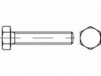 TOOLCRAFT TO 5404740 Zeskantbouten M16 300 mm Buitenzeskant (inbus) ISO 4017 Staal Galvanisch verzinkt 1 stuks