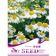 100Pcs Garden Rare Herb Chamomile Plant Seeds