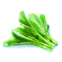 200Pcs Green Cabbage Seeds Chinese Vegetables Natural Seeds