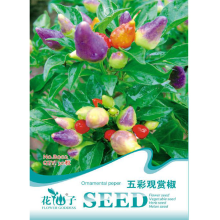 20Pcs Colorful Ornamental Pepper Seed Vegetable Plant Seed