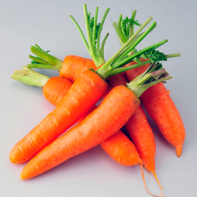 800Pcs Red Carrot Seeds Vegetable Plant Food