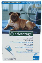 Bayer Advantage Hond 4 Pipetten #95;_100 Vanaf 4kg