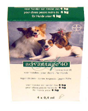 Bayer Advantage Hond 4 Pipetten #95;_40 Tot 4 Kg