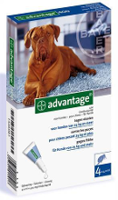 Bayer Advantage Hond 4 Pipetten #95;_400 Vanaf 25 Kg