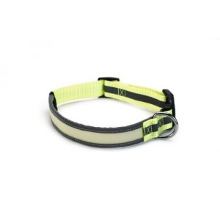 Beeztees Glow In The Dark Veiligheidshalsband Medium