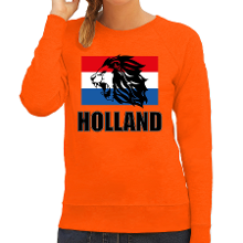 Bellatio Decorations Oranje sweater / trui Holland / Nederland supporter met leeuw en vlag EK/ WK voor dames