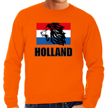 Bellatio Decorations Oranje sweater / trui Holland / Nederland supporter met leeuw en vlag EK/ WK voor heren