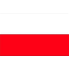 Bellatio Decorations Vlag Polen stickers   A7 formaat   7.5 X 10 cm   landen versiering   feestartikelen